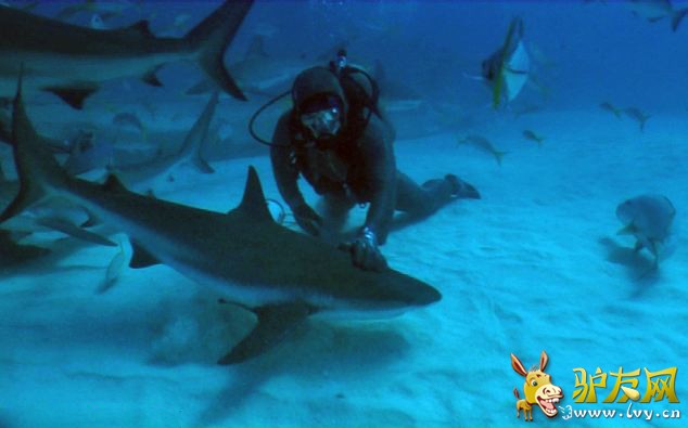 �������㱻ǱˮԱ�������ӱ���˳ ���彩ֱ����