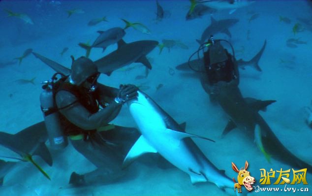 �������㱻ǱˮԱ�������ӱ���˳ ���彩ֱ����