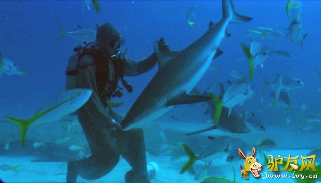 �������㱻ǱˮԱ�������ӱ���˳ ���彩ֱ����