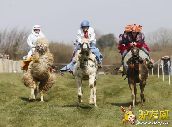 Ӣ��ũ���ٰ���������ϰ������ƿ���Χ��