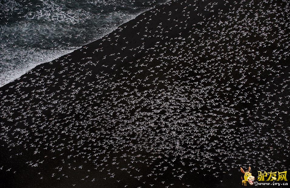 ����Ӱʦ��������ֻ����˹�Ӻ�ŸͬʱԾ��׳�۳�����ҳ��ͼ