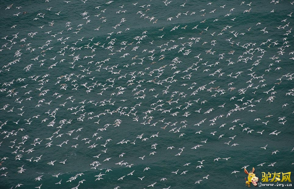 ����Ӱʦ��������ֻ����˹�Ӻ�ŸͬʱԾ��׳�۳�����ҳ��ͼ