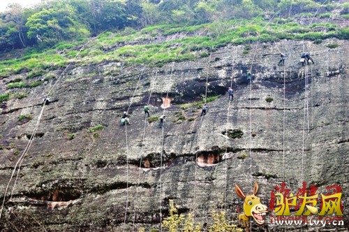 ��̩����������������������Ƥʯ����ֻ��ʮ����