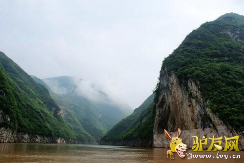 ������Ͽ