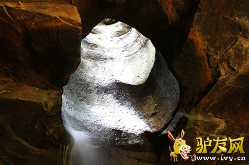 ����ٲ����ٲ���