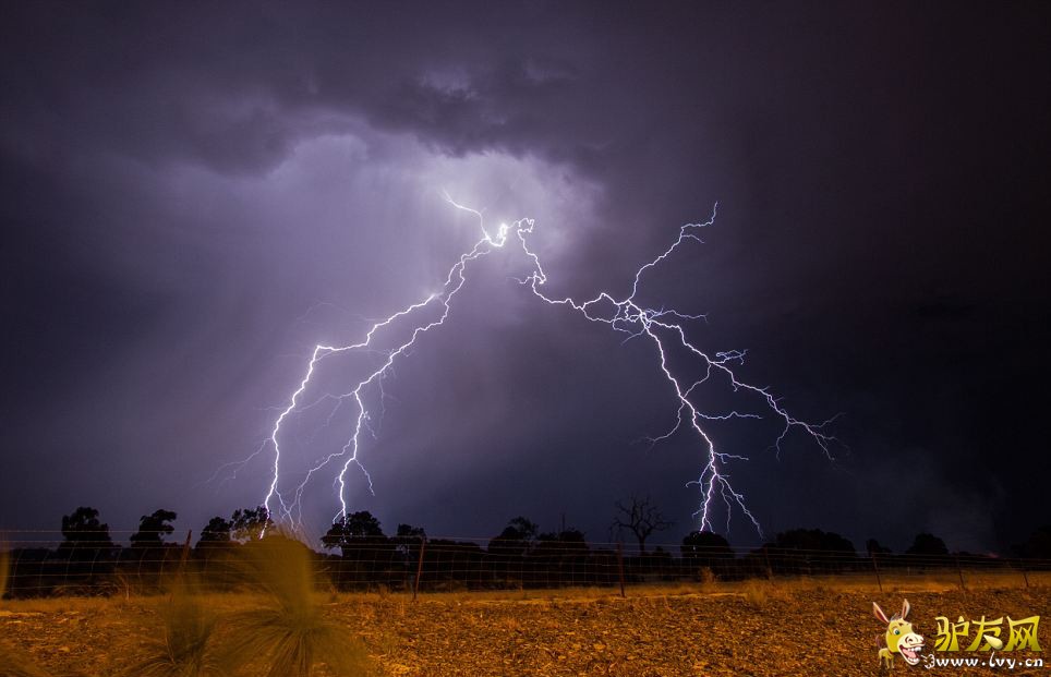 �Ĵ�������Ӱʦ����300Ӣ��׷������(������ͼ)