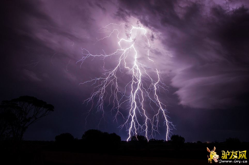 �Ĵ�������Ӱʦ����300Ӣ��׷������(������ͼ)