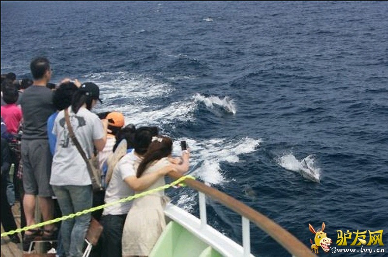 ����εɽ������׳�ۺ���Ⱥ���������ͼ