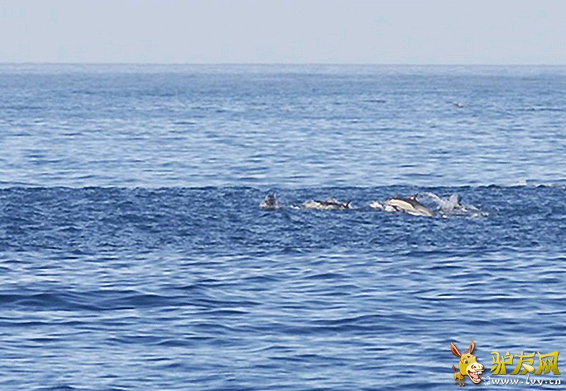 ����εɽ������׳�ۺ���Ⱥ���������ͼ