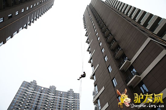 ��ţ����ѡ����������������Ŀ��