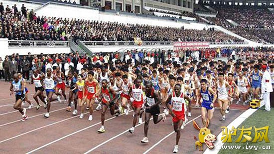 2009��ƽ�������ɣ����õ����ʵ������������רҵ�˶�Ա���ܲ�������ͼ