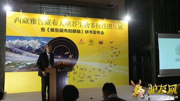 TBIS��ʼ���޺������´�