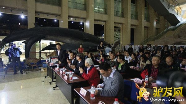 �ֳ��α����μӷ�������׶�������ʿ