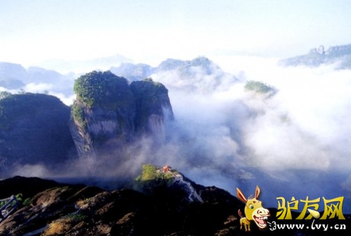 ����ɽ��ӹ����С˵�����������