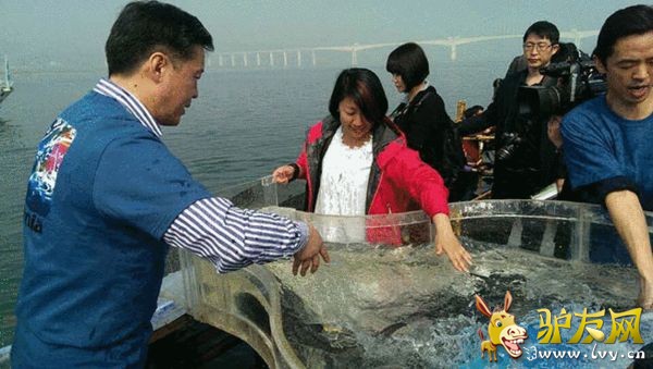 patagonia�й�Ʒ�Ƹ����˾���������patagonia�����㱣������T������Ͽ������Ա��ͬ�����л���