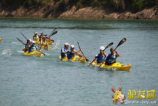 ��ţ����Ƥ��ͧ������һ·����