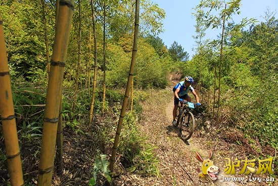 �����������ţ������������ɽ�����г���Ŀ������