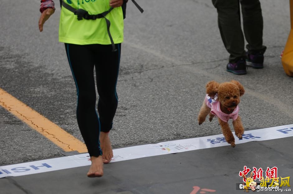 ��ͼ�����ݹ��ʰ�������������� ѡ����װ�������