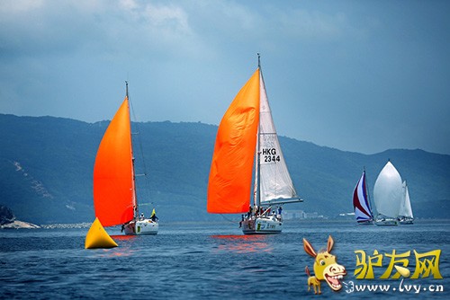 �ֳ�����ͼ  ��ֻ������