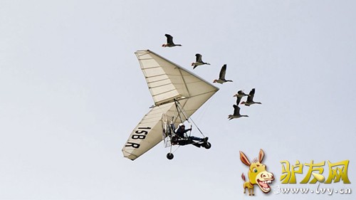 �����Ӽݳ���ɻ����У�����Ⱥ���ԡ����ݻ���������ҳ��ͼ