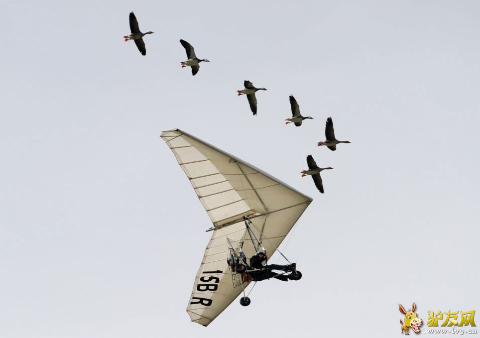 �����Ӽݳ���ɻ����У�����Ⱥ���ԡ����ݻ���������ҳ��ͼ