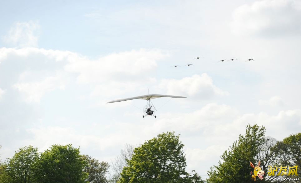 �����Ӽݳ���ɻ����У�����Ⱥ���ԡ����ݻ���������ҳ��ͼ