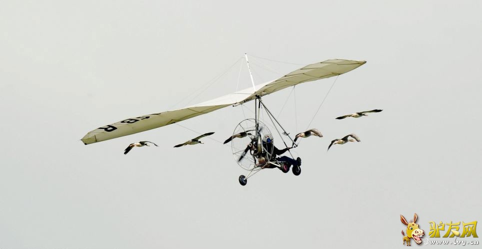 �����Ӽݳ���ɻ����У�����Ⱥ���ԡ����ݻ���������ҳ��ͼ