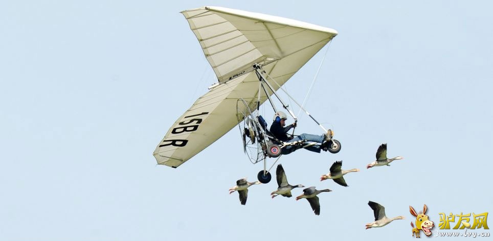 �����Ӽݳ���ɻ����У�����Ⱥ���ԡ����ݻ���������ҳ��ͼ