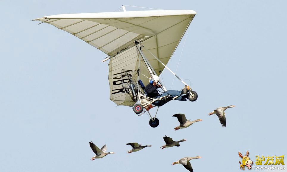 �����Ӽݳ���ɻ����У�����Ⱥ���ԡ����ݻ���������ҳ��ͼ