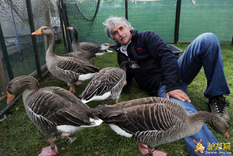 �����Ӽݳ���ɻ����У�����Ⱥ���ԡ����ݻ���������ҳ��ͼ