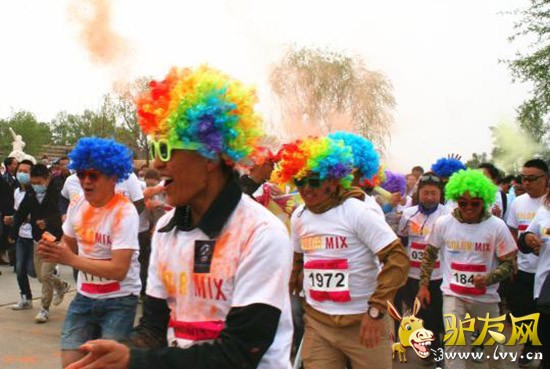 ͼΪ���Ų�ɫͷ�׵��ܲ��ߡ�