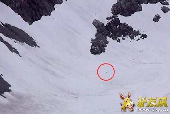 Ȧ�е����غڵ㱻���ǡ���������Ұ�ˡ�