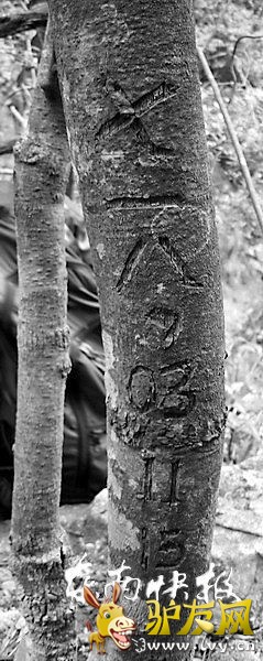 718�����˶����ֲ���Ա���ڵ�ɽ�����������Ͽ����ˡ���һ�ˡ�����������������ҫ