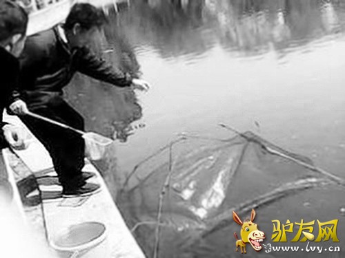 �����˹�԰���߷������� ������������������