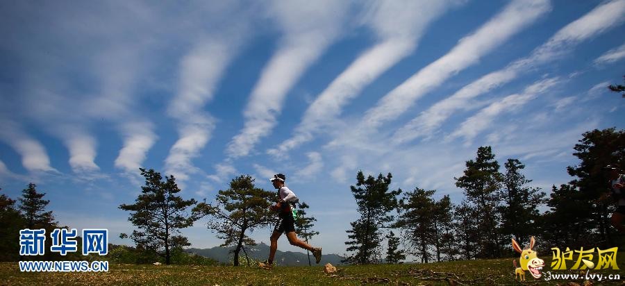 ɽ�о��� ���ʰٹ���ɽ�ػ�����ս��