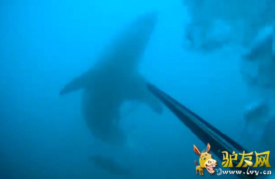 ע�⵽�����ʱ�����ס���ɪ�����ڿ���ά�޺�̲27.4����ĺ�ˮ��Ǳˮ��