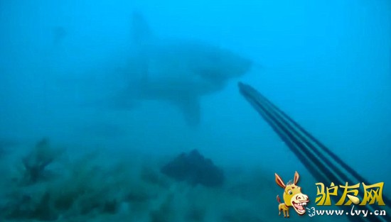 ע�⵽�����ʱ�����ס���ɪ�����ڿ���ά�޺�̲27.4����ĺ�ˮ��Ǳˮ��