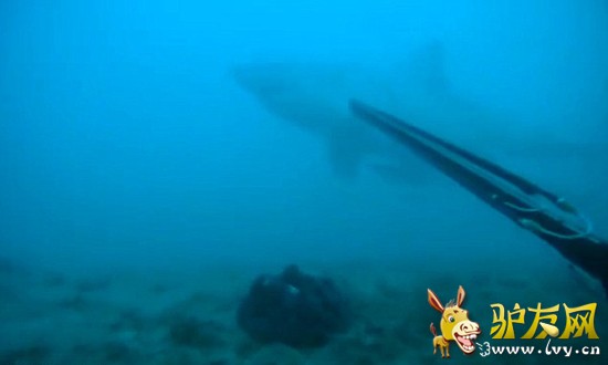 ע�⵽�����ʱ�����ס���ɪ�����ڿ���ά�޺�̲27.4����ĺ�ˮ��Ǳˮ��