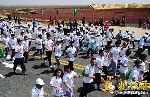 ���ܰ������ڱ�����