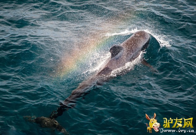 ������������ˮ���֡��ʺ硱(1)_��ѧ̽��_������