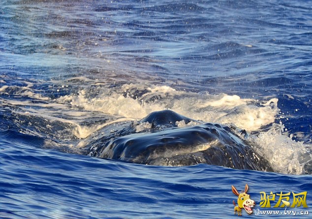 ������������ˮ���֡��ʺ硱(1)_��ѧ̽��_������