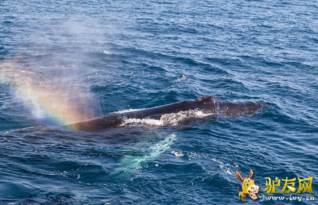 ������������ˮ���֡��ʺ硱(1)_��ѧ̽��_������