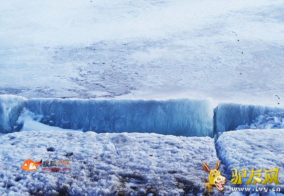 һ��ɽ������6700��ѩɽ׹����� רҵ��ʿ����