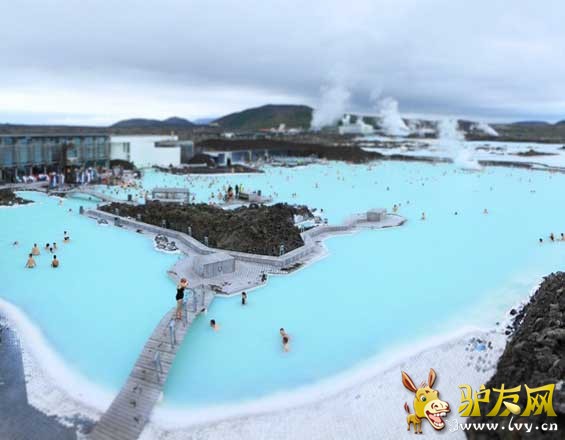 (Blue Lagoon)