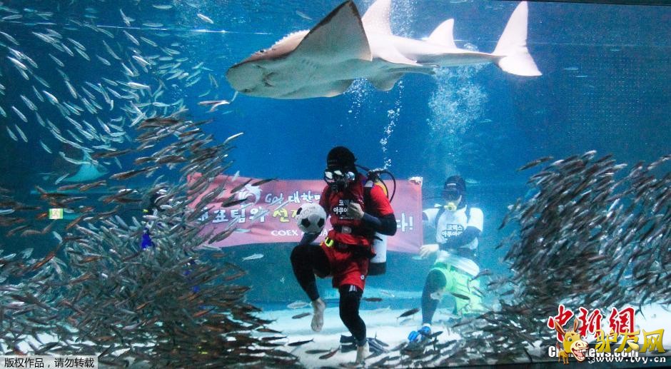 ����ʱ��6��9�գ�ǱˮԱ���������ں����׶�ˮ����ڵ�ˮ��������ɳ���㹲�裬Ϊ�������籭����������