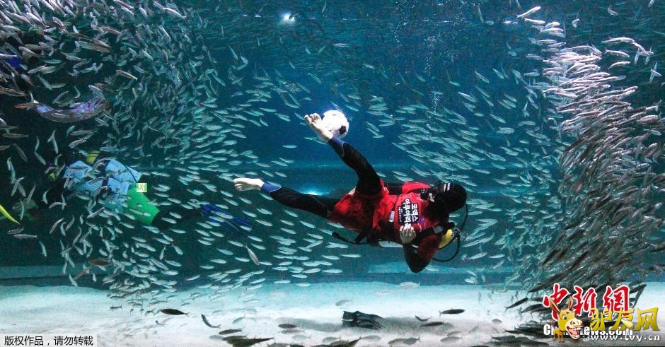 ����ʱ��6��9�գ�ǱˮԱ���������ں����׶�ˮ����ڵ�ˮ��������ɳ���㹲�裬Ϊ�������籭����������