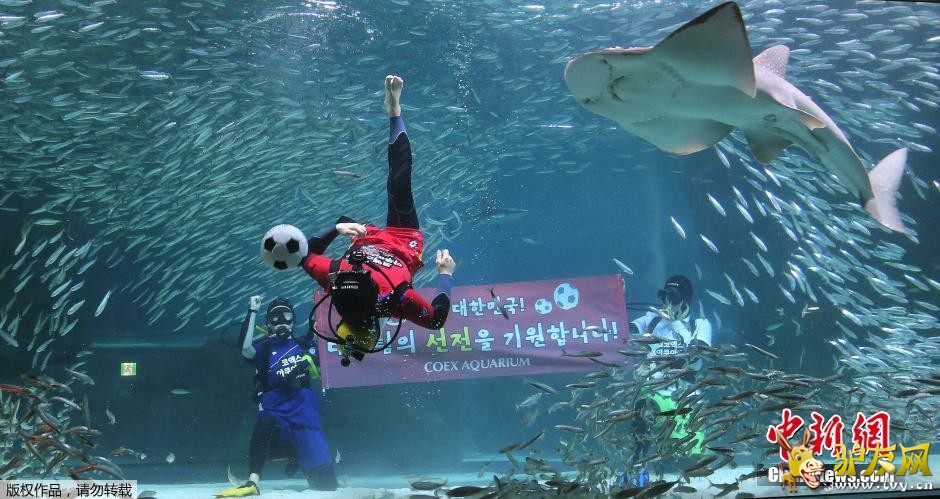 ����ʱ��6��9�գ�ǱˮԱ���������ں����׶�ˮ����ڵ�ˮ��������ɳ���㹲�裬Ϊ�������籭����������