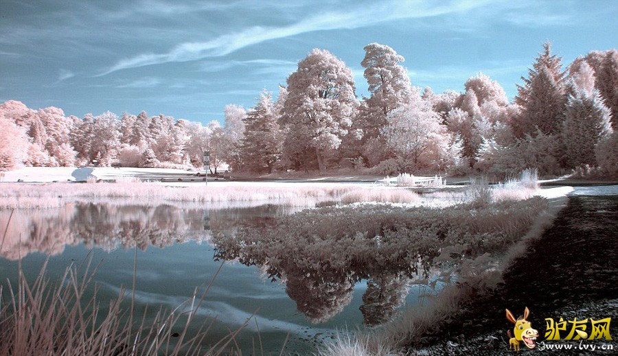 ��Щ��������ʾ������������Ƭ�·��Ƕ�������ģ���ʵ���������������ļ��ĵ��ġ�