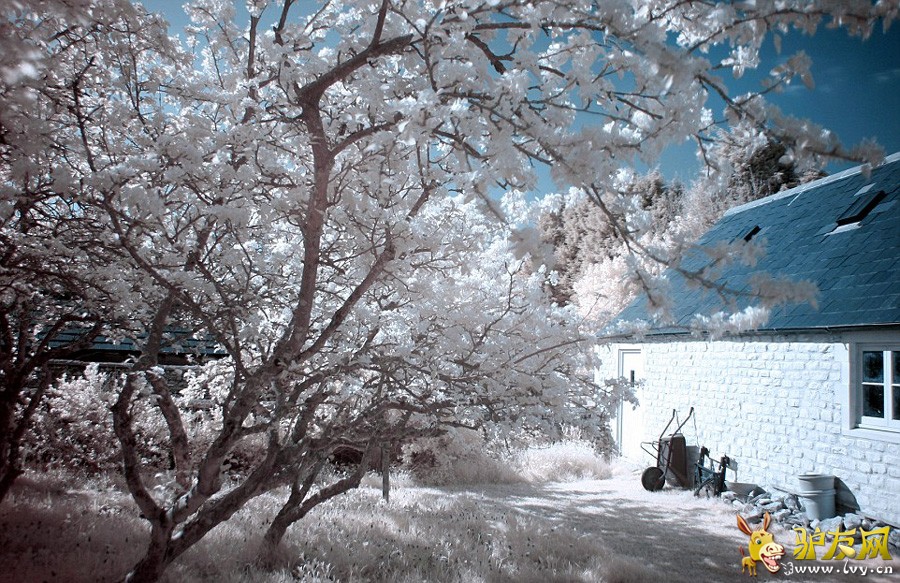 ��Щ��������ʾ������������Ƭ�·��Ƕ�������ģ���ʵ���������������ļ��ĵ��ġ�