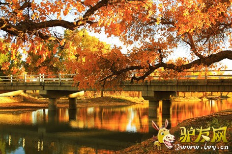 2014�������������ڽ���Ļ